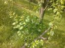 IMG_20130527_175211