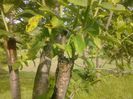 IMG_20130527_175226