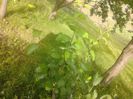 IMG_20130527_175259