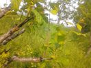 IMG_20130527_180147