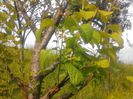 IMG_20130527_180151