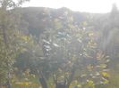 IMG_20130527_180203