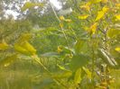 IMG_20130527_180222