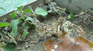 SAM_0524