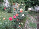 IMG_5619