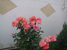 IMG_5638