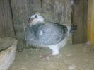 Image810
