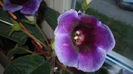 DSC01344