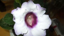 DSC01348
