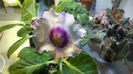 DSC01351