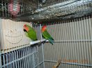 DSCN2740