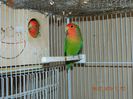 DSCN2743
