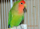DSCN2744