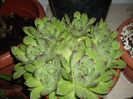 DSCN2204[1]