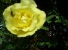 DSCN2249[1]