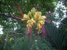 DSCN2473[1]
