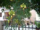 DSCN2472[1]