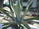 DSCN2558[1]