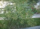 DSCN2580[1]