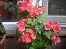 DSCN2609[1]