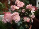 DSCN2610[1]