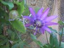 DSCN2614[1]