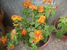 DSCN2619[1]