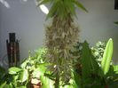 DSCN2620[1]