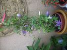 DSCN2630[1]