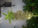 DSCN2631[1]