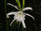 SANY0025