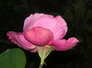 SANY0035
