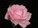 SANY0039