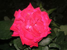 SANY0040