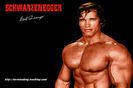 arnold-schwarzenegger-chest-workout-routine - Copy