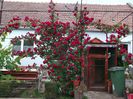 DSCF0961