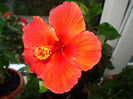 DSC07202