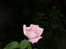 DSCN9673