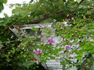 DSCN9674