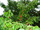 DSCN9680