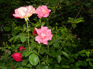 DSCN9690