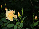 DSCN9691