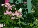 DSCN9693