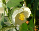 P1440288