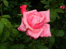 DSCN9696