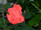 DSCN9698