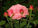 DSCN9700