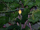 DSCN9701