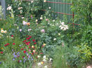 DSCF1465