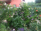 DSCF1466